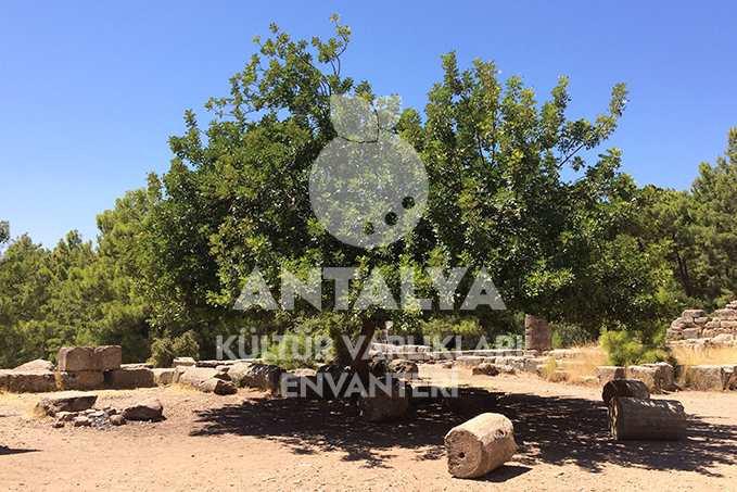 Lyrbe 7 lyrbe manavgat antalya antalyakulturvarliklarienvanteri orhandenizkaplan denizkaplan 06