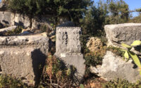 alalitas tapinagi
