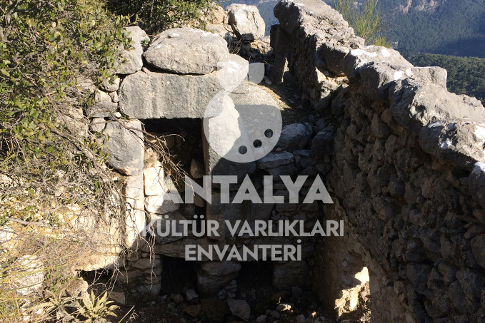 Typallia 12 typallia 11