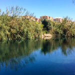 duden cayi