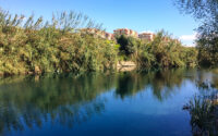duden cayi