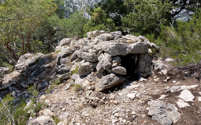 anadolu parsi kaplan kapani2