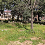 ciglik mezarligi dosemealti antalya antalyakulturvarliklarienvanteri orhandenizkaplan denizkaplan