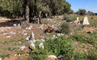 cirpikli cilpikli mezarligi dosemealti antalya antalyakulturvarliklarienvanteri orhandenizkaplan denizkaplan