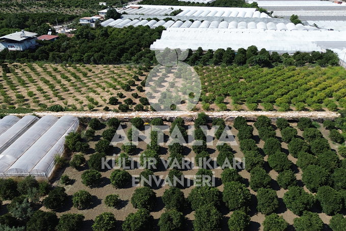 Limyra (Kırkgöz) Köprüsü 2 limyra kirkgoz alakir koprusu finike antalya antalyakulturvarliklarienvanteri orhandenizkaplan denizkaplan 01