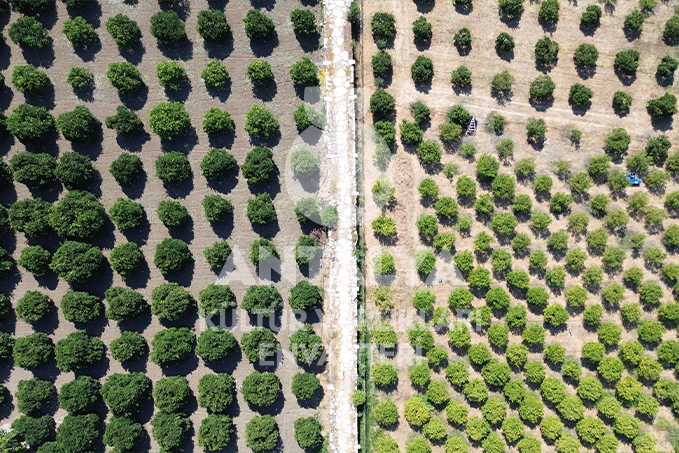 Limyra (Kırkgöz) Köprüsü 4 limyra kirkgoz alakir koprusu finike antalya antalyakulturvarliklarienvanteri orhandenizkaplan denizkaplan 03