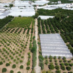 limyra kirkgoz alakir koprusu finike antalya antalyakulturvarliklarienvanteri orhandenizkaplan denizkaplan