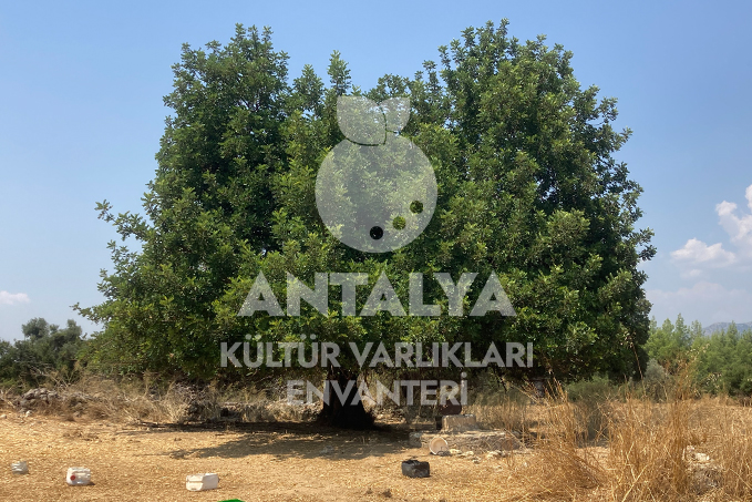 su kuyusu 205 7 aksu antalya antalyakulturvarliklarienvanteri orhandenizkaplan denizkaplan 01